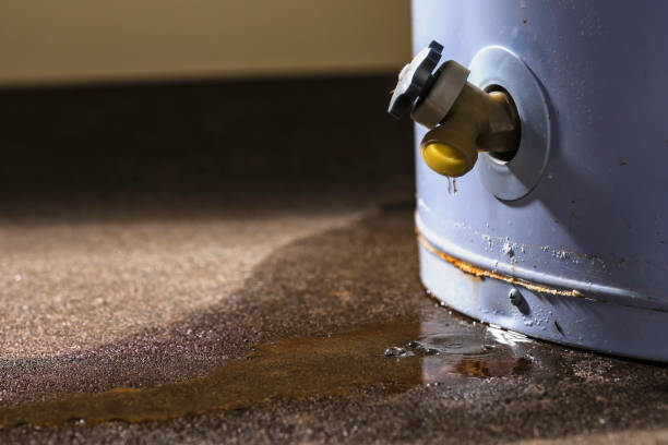 Best Residential water damage restoration  in Carrollton, IL