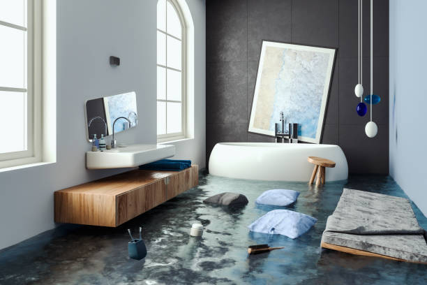 Best Water damage contractors near me  in Carrollton, IL