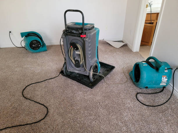 Best Basement water damage restoration  in Carrollton, IL
