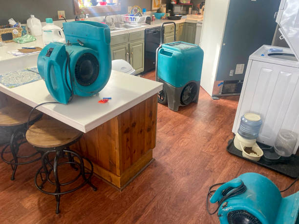 Best Residential water damage restoration  in Carrollton, IL
