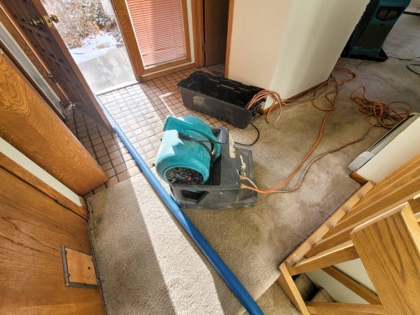 Best Flood restoration services  in Carrollton, IL