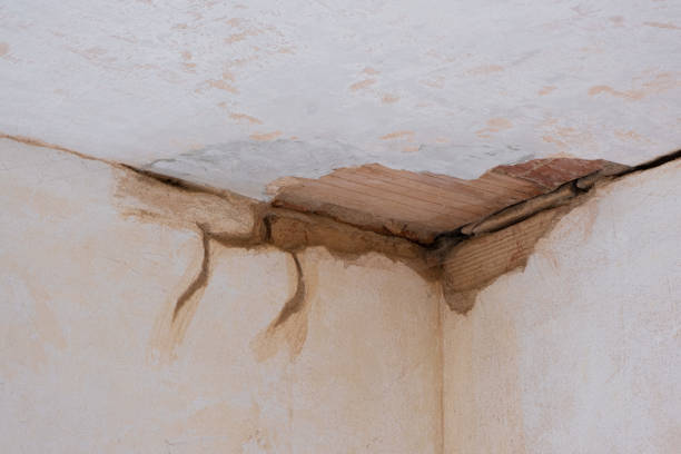 Best Ceiling water damage repair  in Carrollton, IL