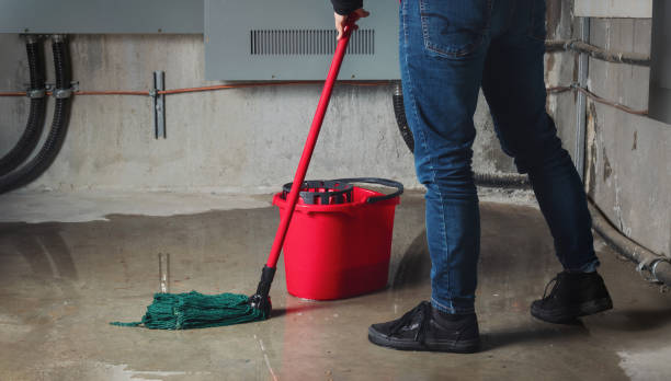Best Carpet water damage restoration  in Carrollton, IL