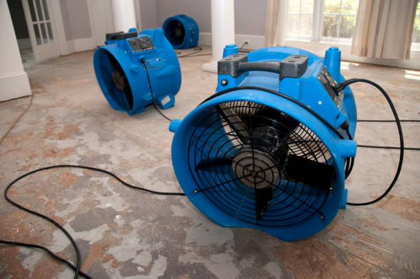 Best Water damage restoration process  in Carrollton, IL