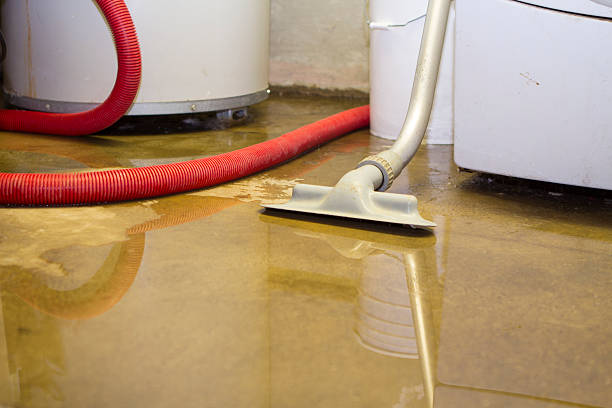 Best Water damage restoration near me  in Carrollton, IL