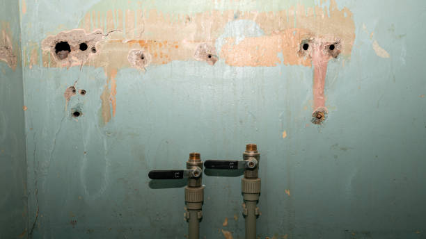 Best Commercial water damage restoration  in Carrollton, IL