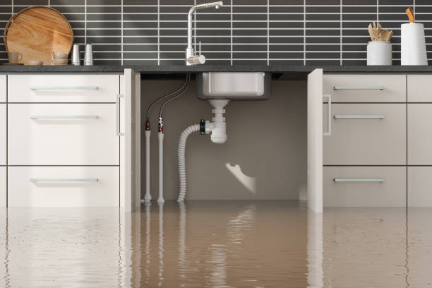Best 24/7 water damage repair  in Carrollton, IL